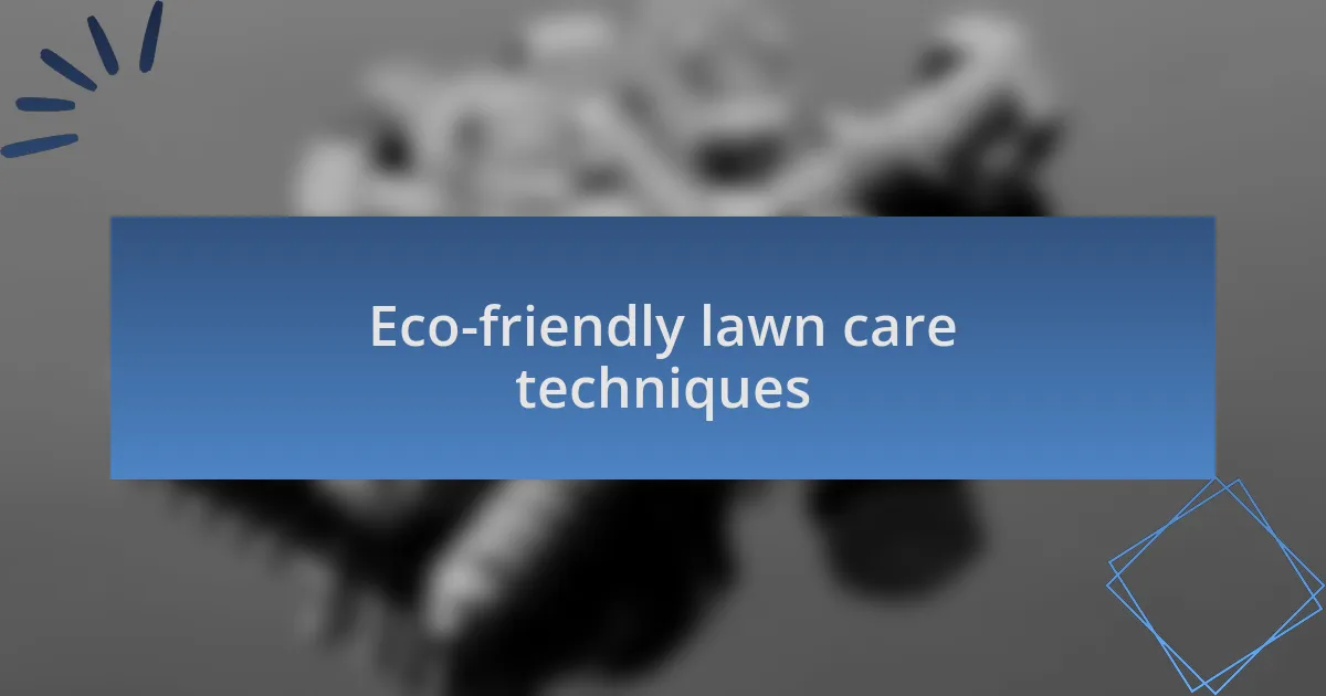 Eco-friendly lawn care techniques