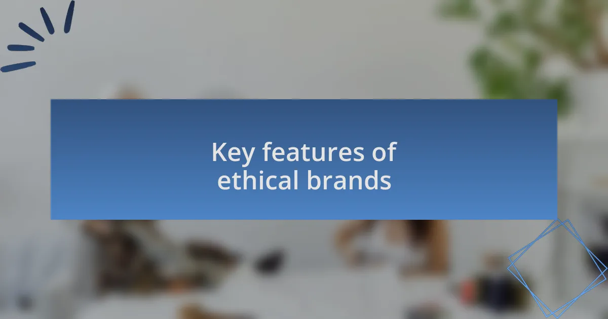 Key features of ethical brands